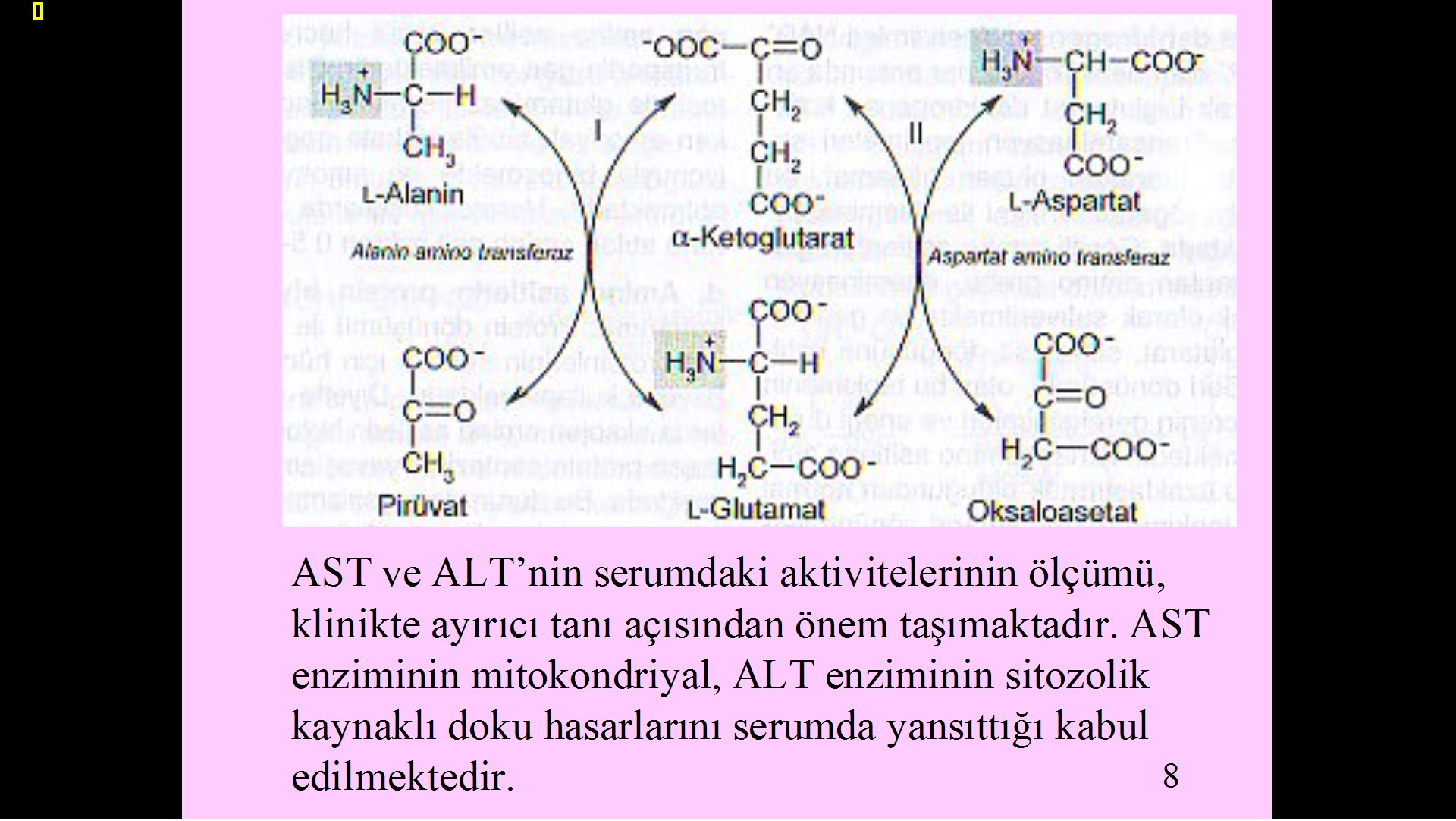  Evrim ve Tesadüf