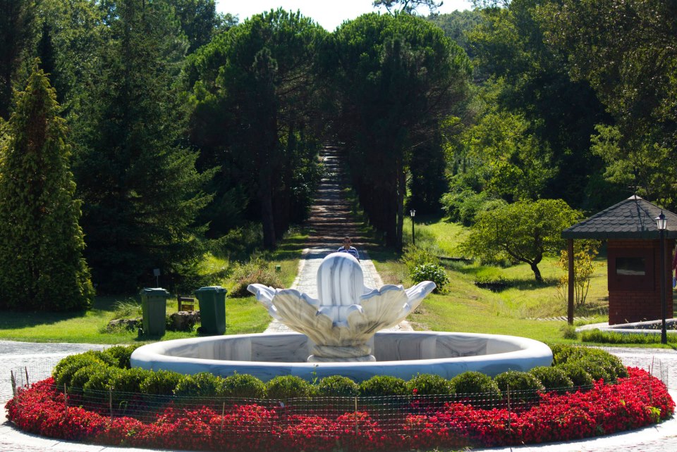  Bahçeköy'de bulunan Atatürk Arboretumu