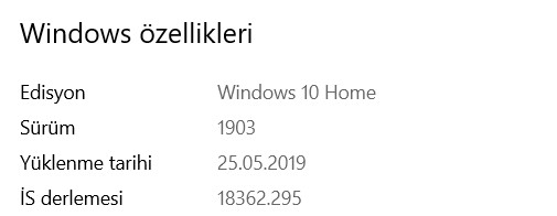 Windows 10 Bulanık Ekran Sorunu