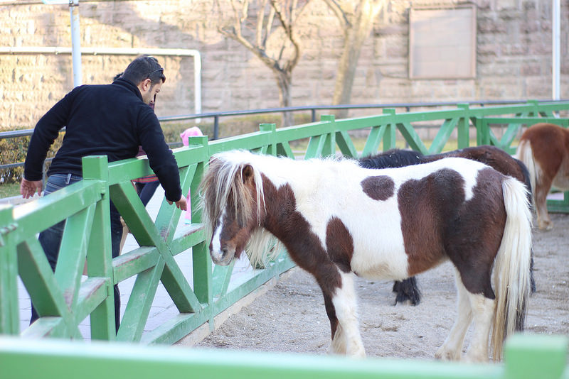  En ucuz objektifler ve başlangıç için tavsiye