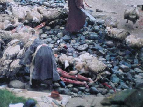  Tibetlilerin Akbabalara Ölü Yedirme Albümü (øØ)