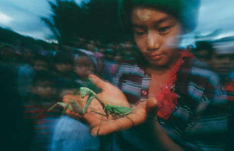  Peygamber devesi >>NationalgeographiC<<