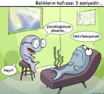  Akşam akşam iyi güldüm buna (SS'Lİ)