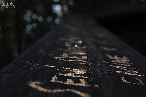  DH itakeit Sergi | 02.07.2013 İtibari İle Güncel