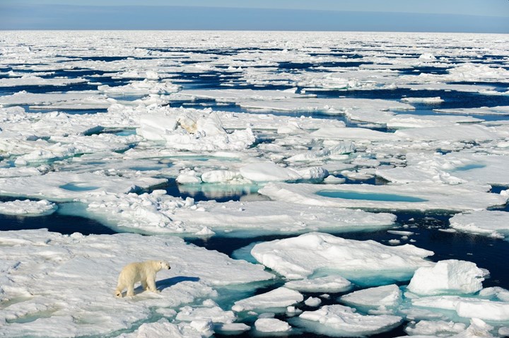 Eriyen buzullar virüs saçıyor: Yeni bir pandemiyi tetikleyebilir
