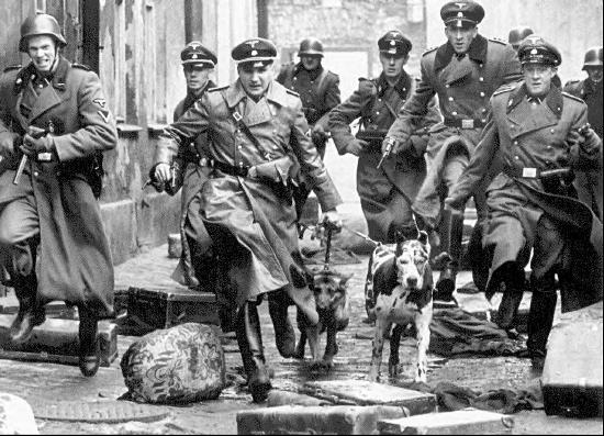  3.REICH - NAZI ALMANYASI ÖRGÜTLENME YAPISI