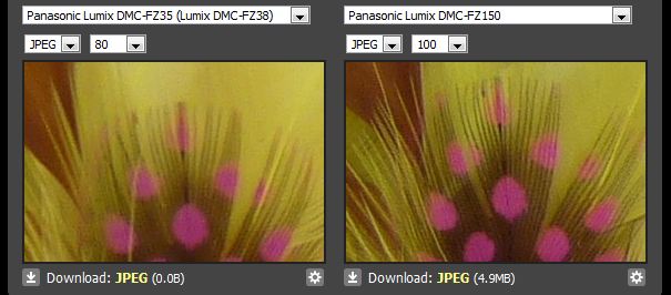  PANASONIC DMC-FZ150 Ana Konu ve Fotoğraf Paylaşımı