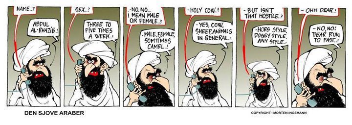  sometimes camel...