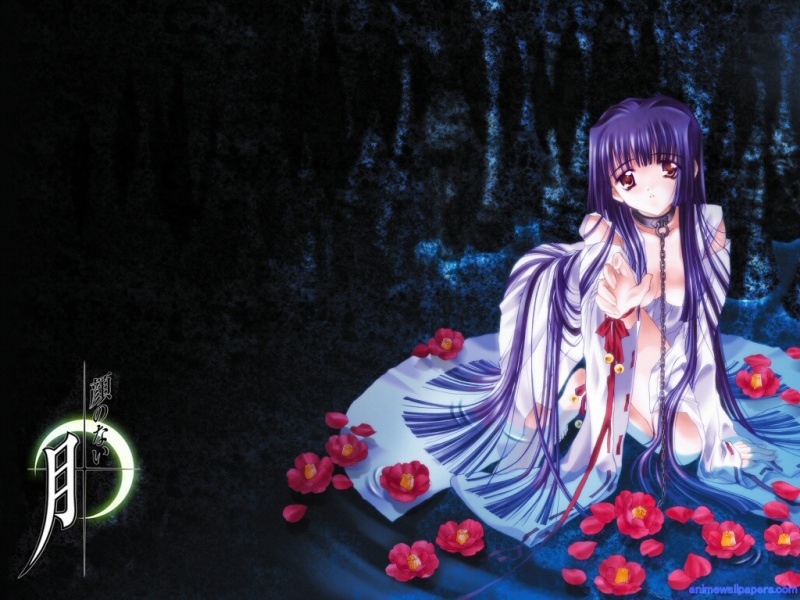  Anime Wallpapers..