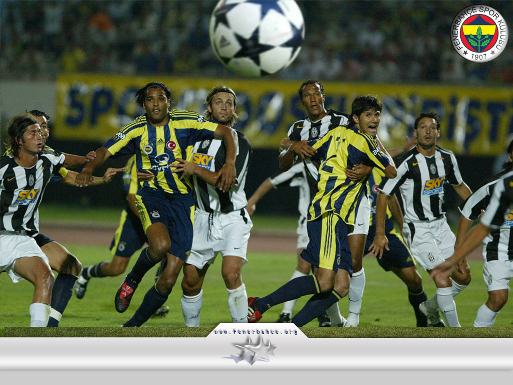  Fenerbahçe Resimleri