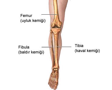  YAZ SONUNA KADAR KİLO VERME PROGRAMIM (SİZDE KATILABİLİRSİNİZ) [BAŞARANLAR VAR]