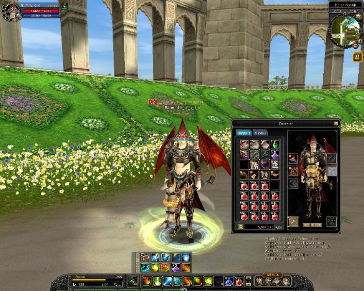  100 LvL - Wizard/Cleric - 200 TL / İstanbul ) Pluto