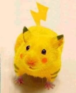  Satılık Pikachu