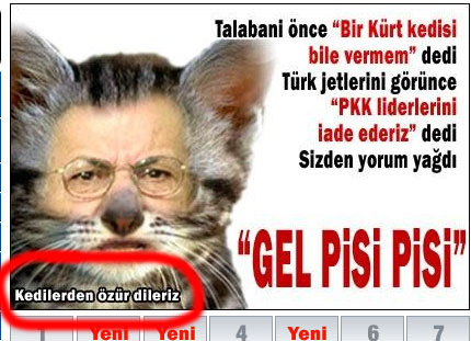  PİSİCİK GELDİİ :)