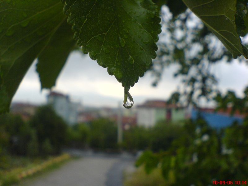  EN GÜZEL MAKROLAR BURAYA  ---S.E-----