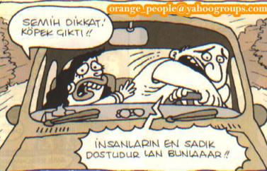  Yiğit Özgür Karikatürleri ***