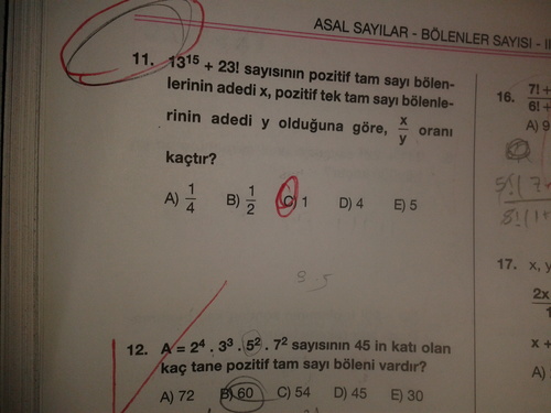  Ebob-Ekok sorularm 8 tne baba sorular