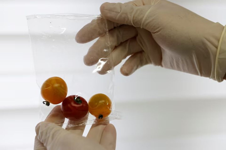Plastik atık krizine yeni çözüm: Deniz suyunda hızlıca eriyen yeni nesil plastik