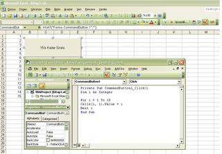  VBA & Excel ve Makrolar Örnekler Sorunlar
