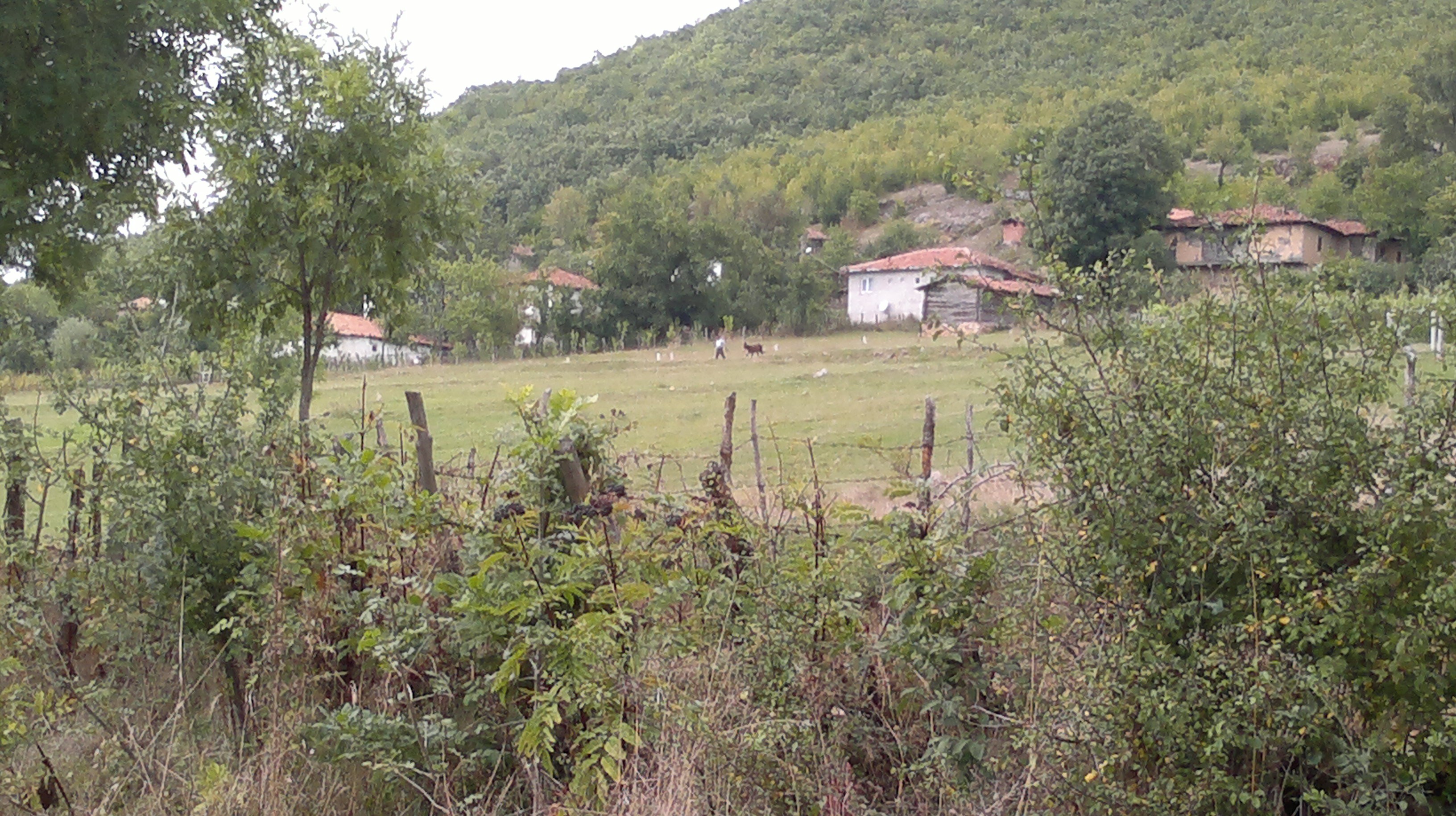 bizim köyden ss ler