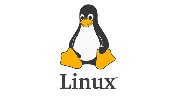 Linux nedir, nasıl kullanılır, komutlar neler? Ubuntu ISO indirme & kurulumu