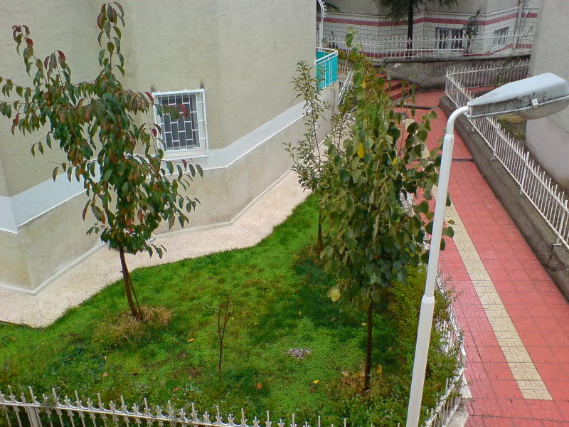  ===>3,2MPLİ k770/K790/K810/C510/P1 FOTOĞRAF PAYLAŞIM ARENASI<===