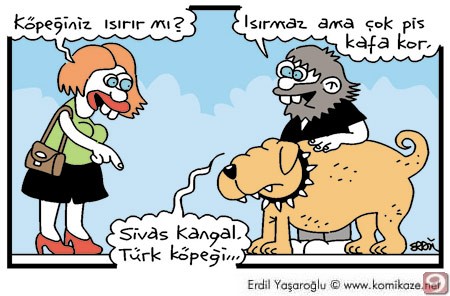  ------Karikatürler--------