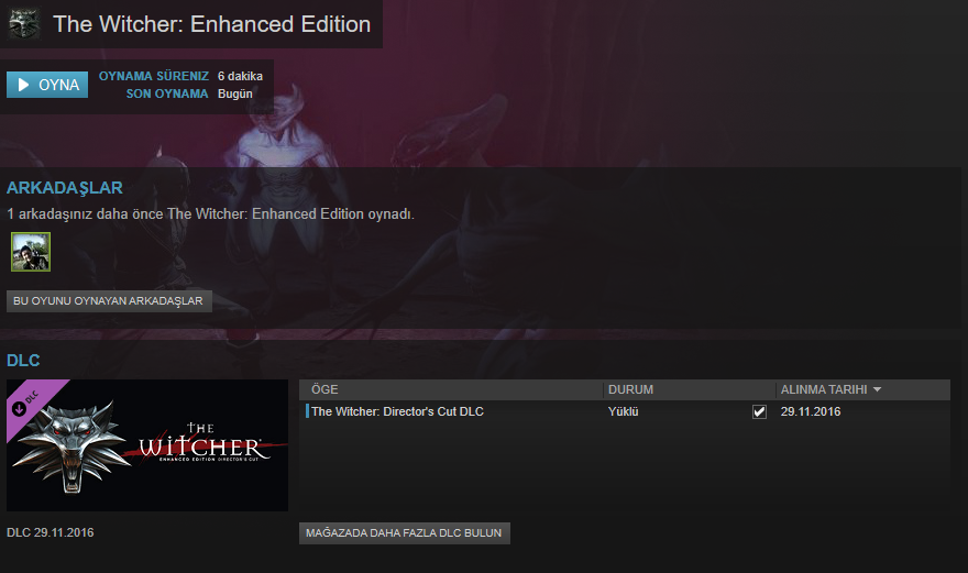 The Witcher: Enhanced Edition Türkçe Yama