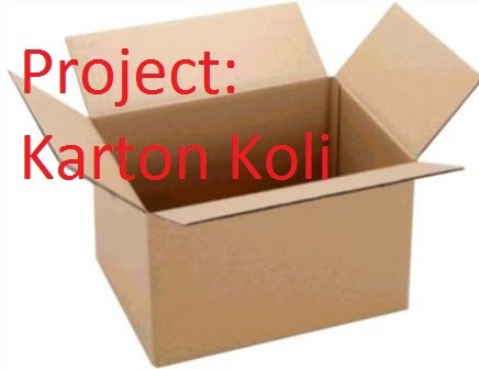  PROJECT:KARTON KOLİ