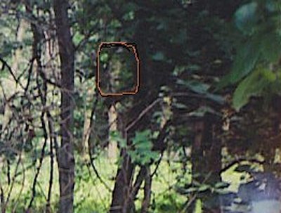  Paranormal Olaylar