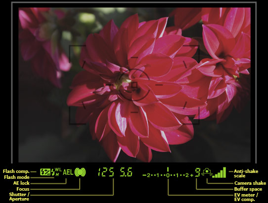  SONY a100 ile D-SLR'a geçiş