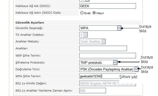  geek wierless adsk modem