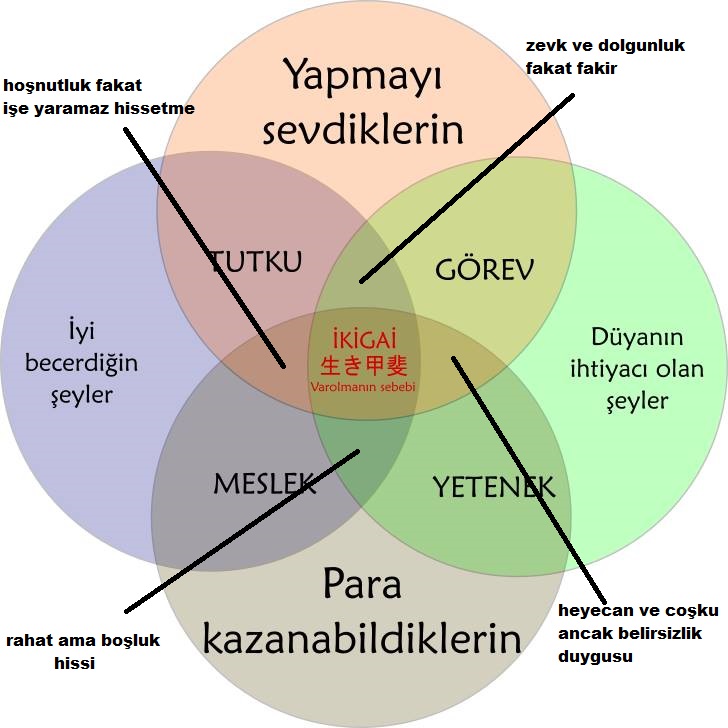 24 yaş üstü bi halt olamamış insan var mı aranızda