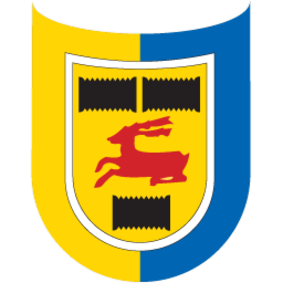  Fenerbahçe SK Ultimate Team Forma-Logo Önerileri