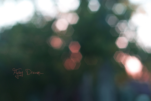  Bokeh Nedir, İyi bokeh-Kötü Bokeh Nasıl Olur, Bokehi Ne Oluşturur?