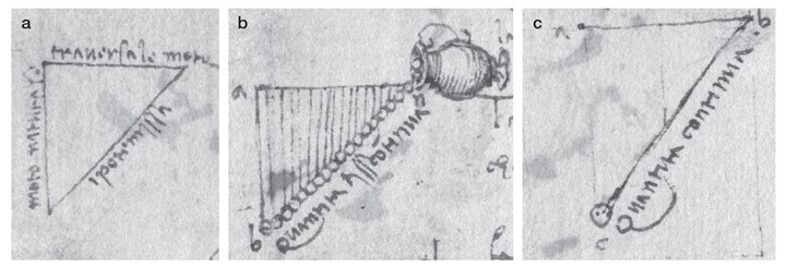 Müthiş iddia: Leonardo da Vinci, yerçekimini Newton'dan 150 yıl önce keşfetti