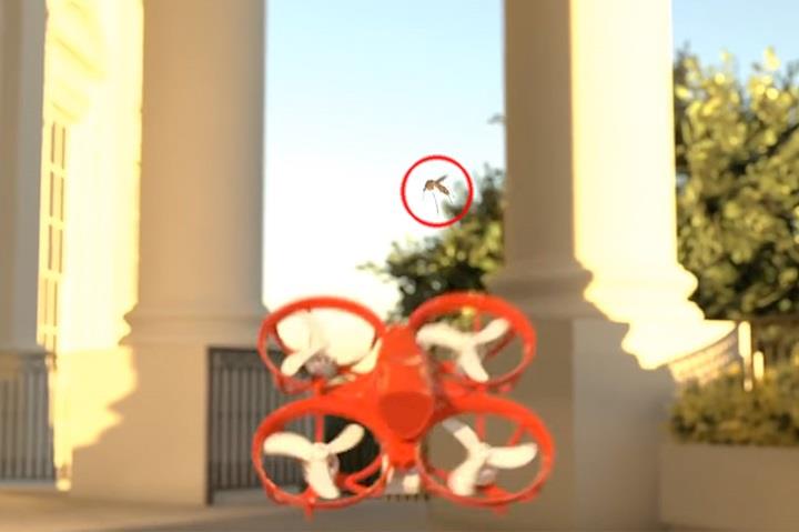 Eski füze mühendisi, sivrisinek avlayan 40 gramlık drone geliştirildi: İşte performansı