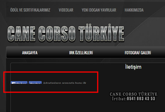  www.canecorsoturkiye.com