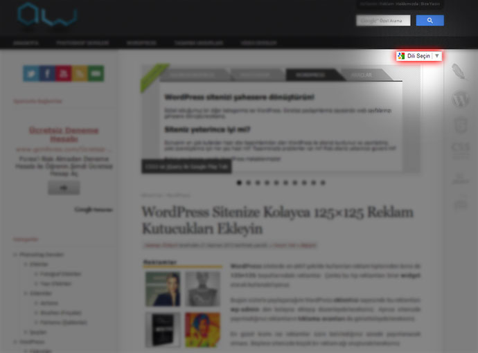  Google Translate ile Sitenizi Evrenselleştirin!