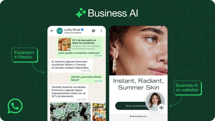 WhatsApp, işletmeler için gelecek yeni özellikleri duyurdu