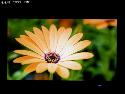 ACER X233HBD 23' FULL HD/5ms/ANALOG+DVI ÖN-İNCELEME (YABANCI SİTELERDEN DERLEME)