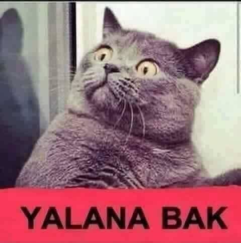 Mafia 3 Beklenen Türkçe yama