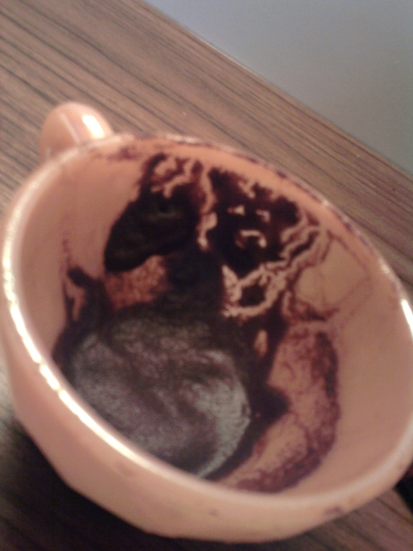  Kahve falından anlayan var mı? SS'li