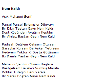 TÜRKÜ DİNLEMEK İSTEYENLER (TÜRKÜ DOSTLARI)