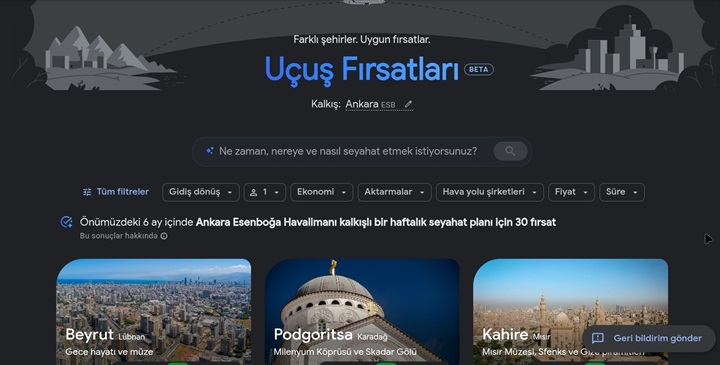 Google Uçuş Fırsatları erişime açıldı