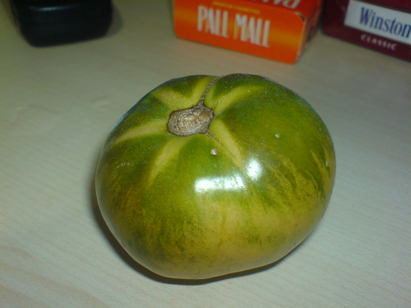  ===>3,2MPLİ k770/K790/K810/C510/P1 FOTOĞRAF PAYLAŞIM ARENASI<===