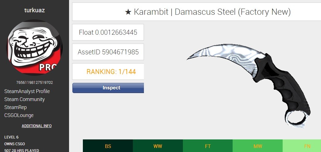  Karambit Damascus Steel FN (#1 Steamanalyst)
