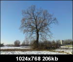  :..LG Renoir KC910 Foto / Video Galerisi..:
