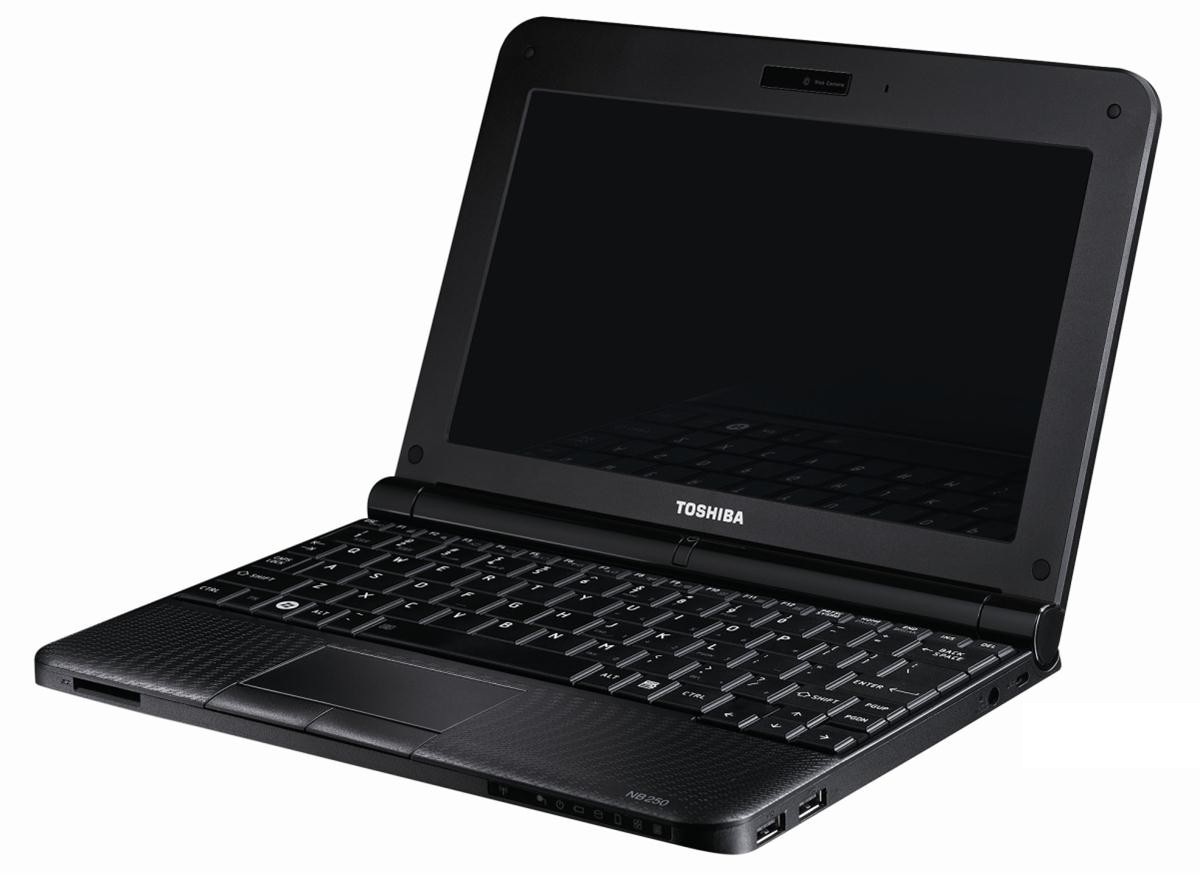  TOSHIBA NB250-10E NETBOOK