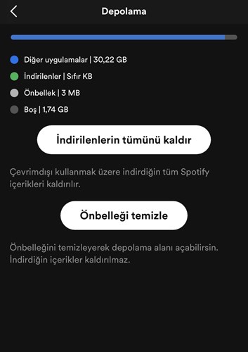 iPhone diğer sistem verileri silme nasıl yapılır?